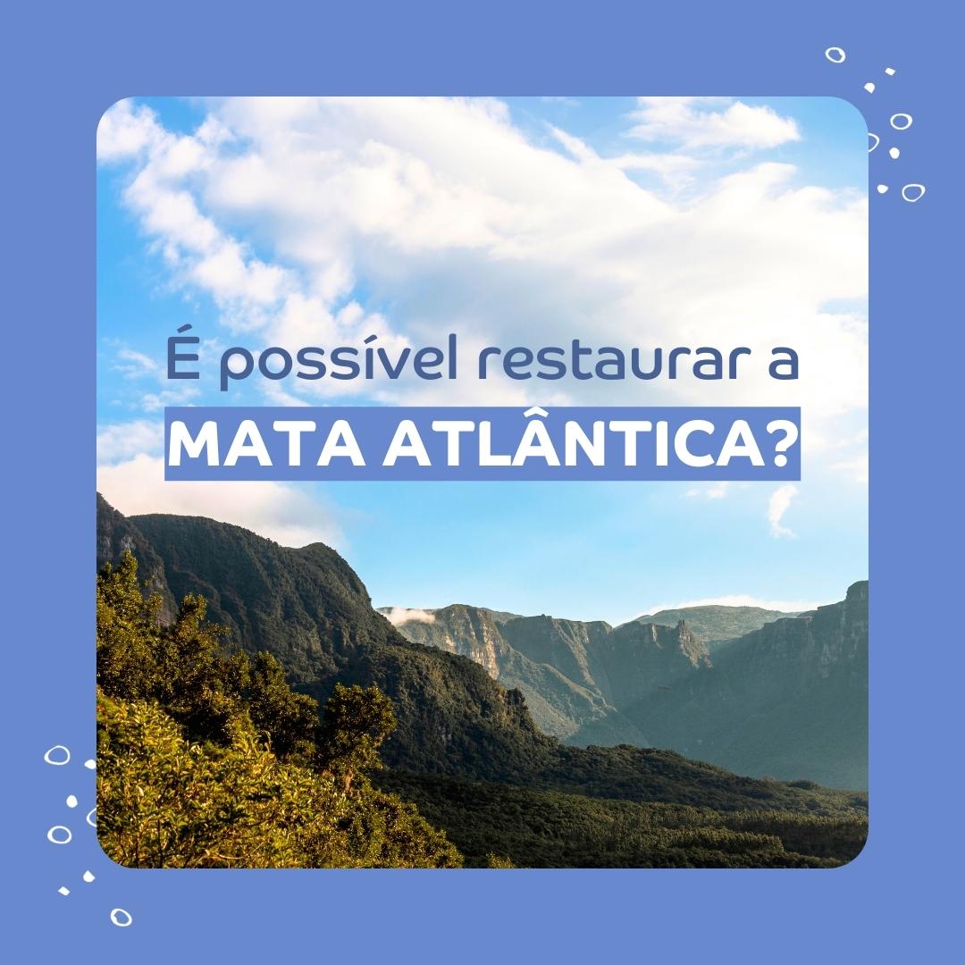 É possível restaurar a Mata Atlântica? Um desafio em favor da natureza