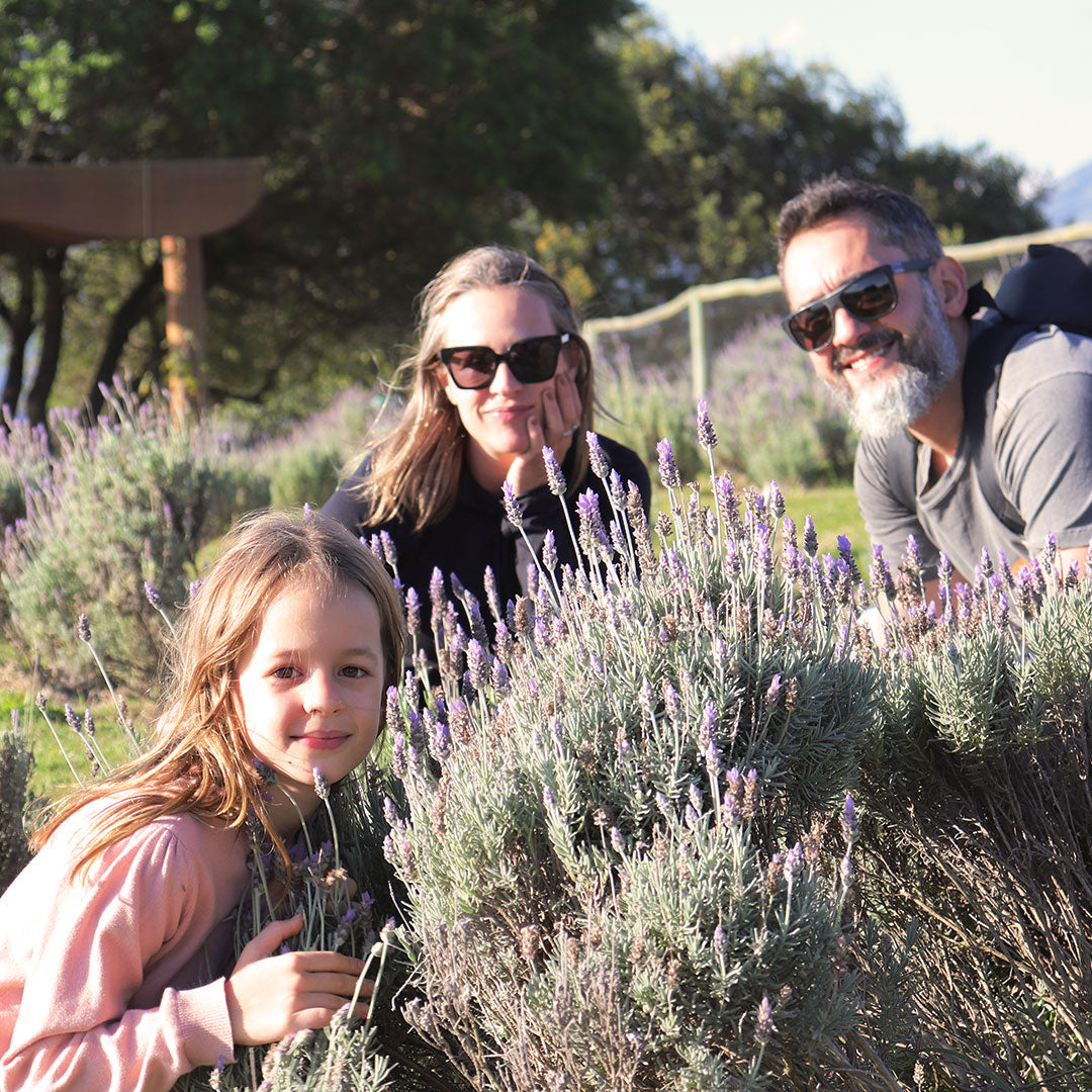 O Poder 5 em 1 da Lavanda:  2 Rituais para a Mente e 3 rituais para um Cabelo Saudável